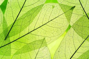 Artificial Photosynthesis to Produce Clean Energy from Sunlight Artificial Photosynthesis to Produce Clean Energy from Sunlight